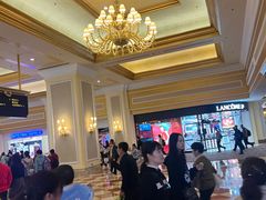 -澳门威尼斯人综合度假区