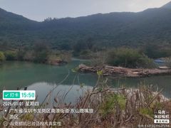 -杨梅坑