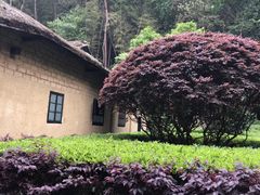 -韶山毛泽东同志故居