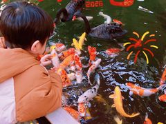 -南宫五洲植物乐园