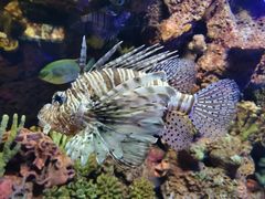 -上海海洋水族馆