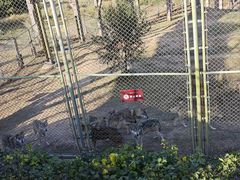 -鄂尔多斯野生动物园