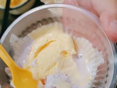 -菌乡缘·野生菌蒸汽鱼火锅(江边夜市店)