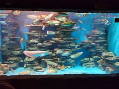 -多彩贵州城极地海洋世界