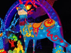 -武汉园博园(武汉自然博物馆)