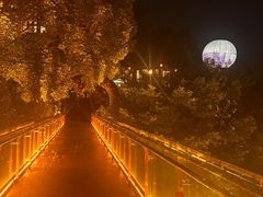 -巴倒烫陆派火锅山庄(南山总店)