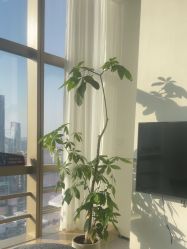 -JNK皮肤管理中心