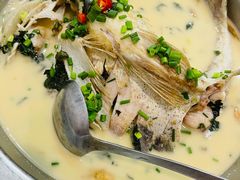湘潭活鱼-新新湘菜馆(新中街二条店)