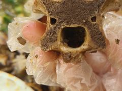 -香满锅老北京羊蝎子火锅·家常菜(新街口店)