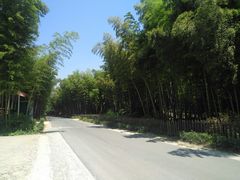 -天目湖御水温泉·度假酒店