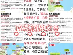 -威海华夏城景区