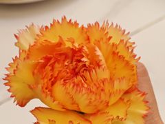 -峰厨大鱼泡饼(西青大学城店)