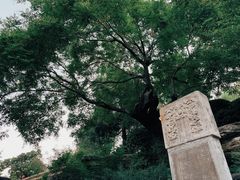 景点-景山公园