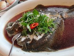 清蒸多宝鱼-东豪园林海鲜酒家(南港路辅路店)
