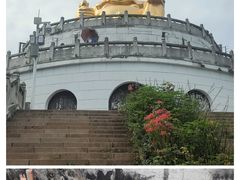 -苏州上方山国家森林公园