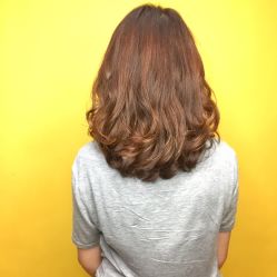 -Y-STUDIO原理