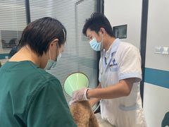 -睿金宠物医院·CT·肿瘤·骨外科