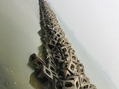 -东疆建设开发纪念公园