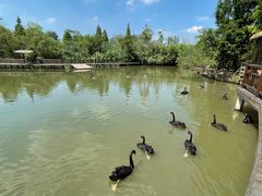 -溱湖国家湿地公园