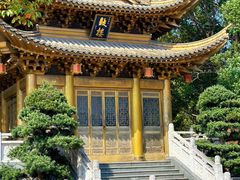 -上海东林寺(金山区)
