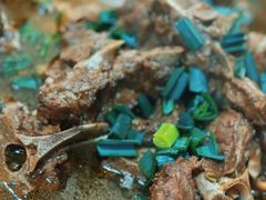 -香满锅老北京羊蝎子火锅·家常菜(新街口店)