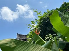 -河下古镇