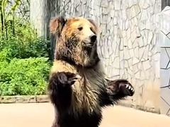-贵州森林野生动物园