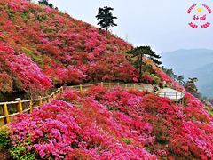 -木兰云雾山
