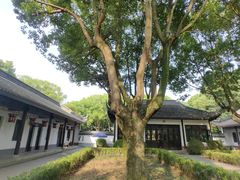 -上海佘山国家森林公园天马山园