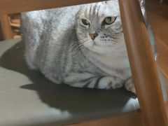 -H立方实景剧情密室(天河旗舰店)