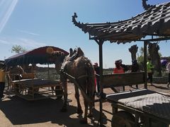 -水洞沟旅游区