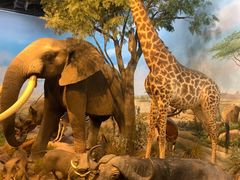 -陕西自然博物馆