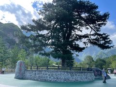 -秦岭终南山世界地质公园翠华山景区