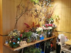 -蝶舍·MAISON PAPILLON