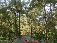 -玲珑塔公园