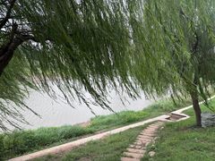 -洋湖国家湿地公园