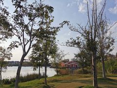 -上海长兴岛郊野公园