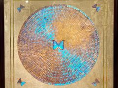 -上海昆虫博物馆