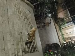 -康友四季(星汇广场店)