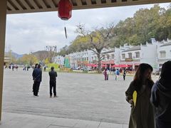 -千年银杏谷文化旅游区