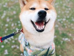 -龙美术馆(西岸馆)