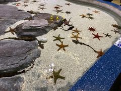 -福州罗源湾海洋世界旅游区