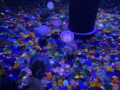 -成都浩海立方海洋公园