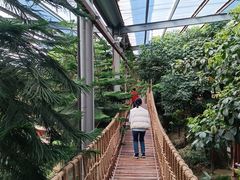 -呀路古热带植物园
