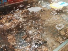 -亚马逊海鲜自助(梅溪湖步步高店)