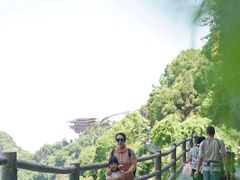-少华山国家森林公园