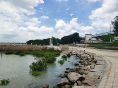 -宝安西湾红树林湿地公园