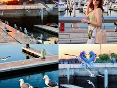 -东港音乐喷泉广场