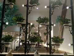 -确喜美味小厨(西单商场兰州店)