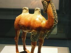 -贵州省博物馆(新馆)